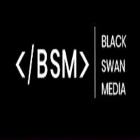 Syracuse SEO - Black Swan Media Co image 1